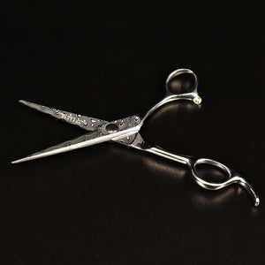 Hairdresser Professional Scissors