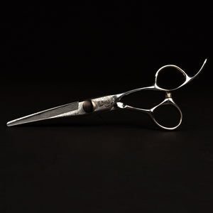 Hairdresser Professional Scissors
