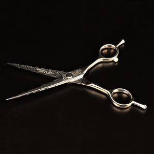Hairdresser Professional Scissors