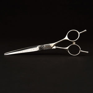 Hairdresser Professional Scissors