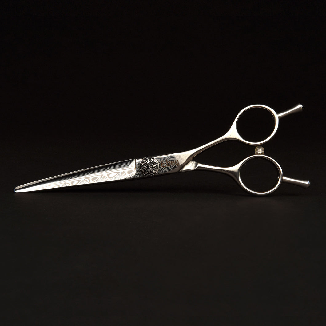 Hairdresser Professional Scissors